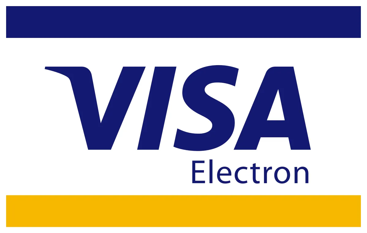 the visa electronic logo